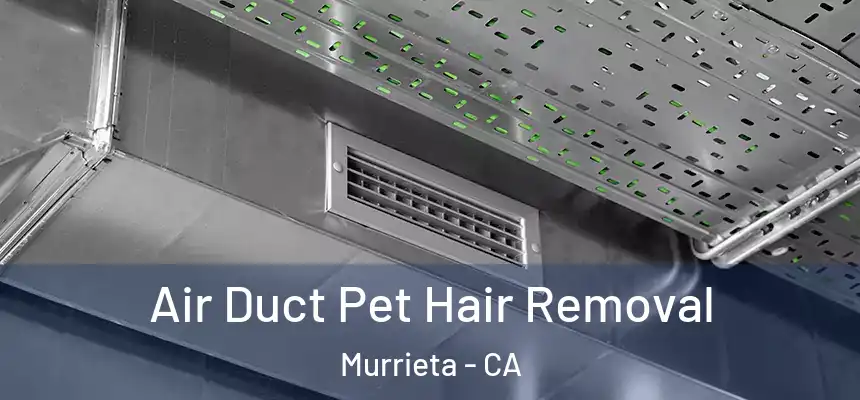 Air Duct Pet Hair Removal Murrieta - CA