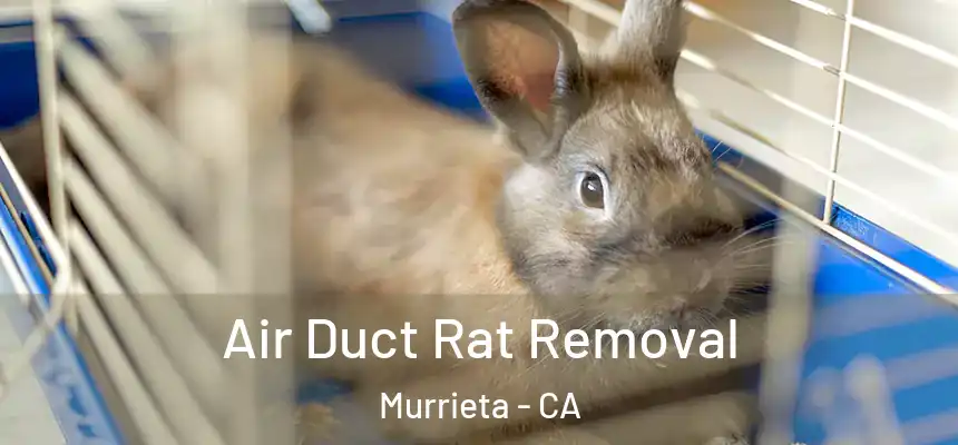  Air Duct Rat Removal Murrieta - CA