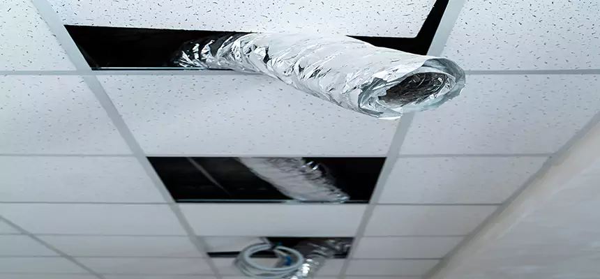 Affordable HVAC Sanitizing After Pest Removal in Murrieta