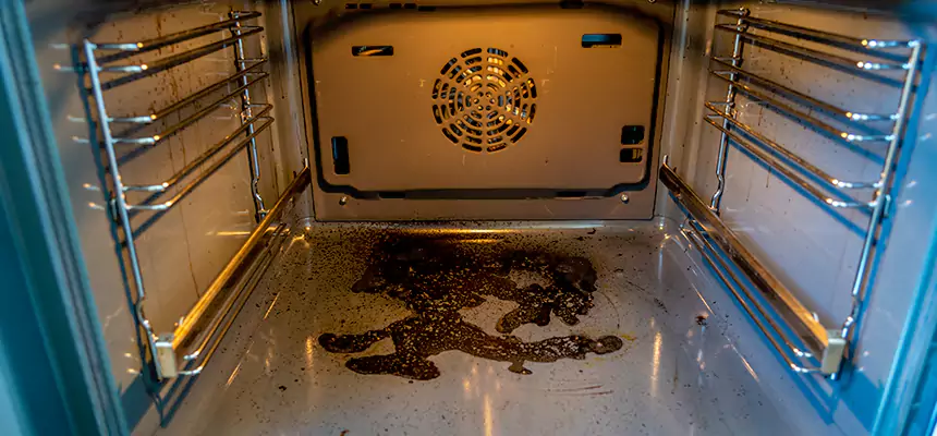 Our Dryer Vent Mold Cleaning Services in Murrieta, CA