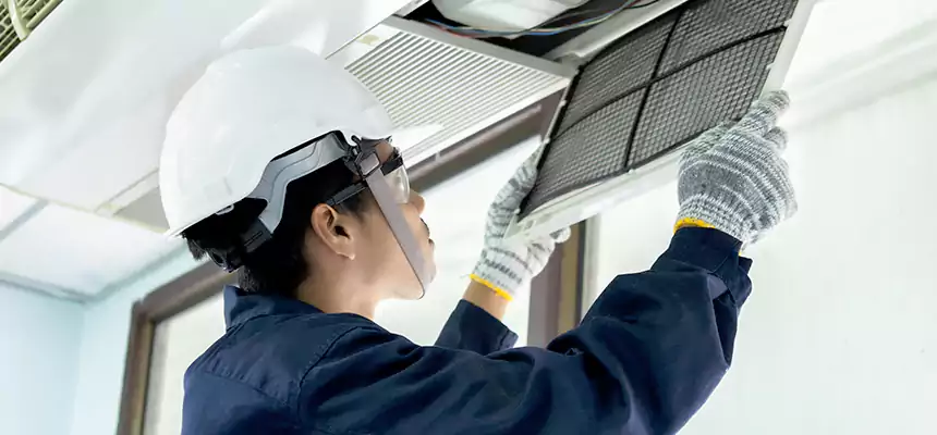 Our Mold & Mildew Removal from Air Ducts Services in Murrieta, CA