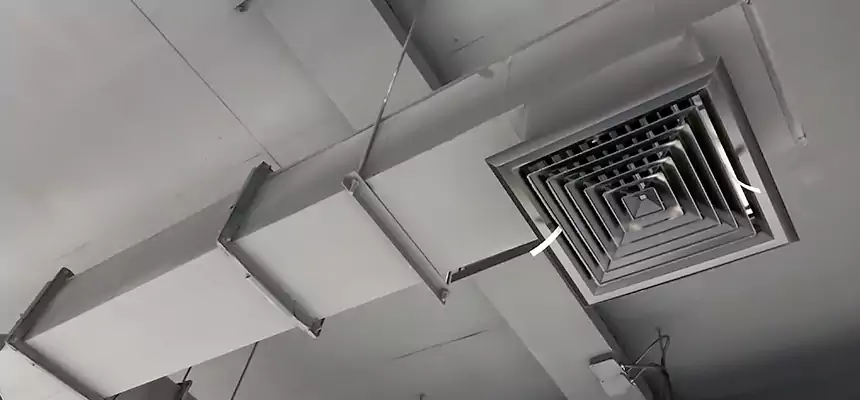 Our Rodent Droppings In Vents Services in Murrieta, CA