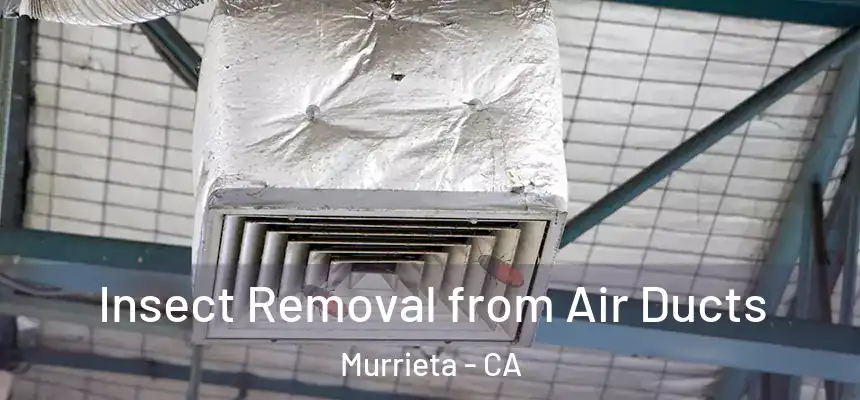 Insect Removal from Air Ducts Murrieta - CA