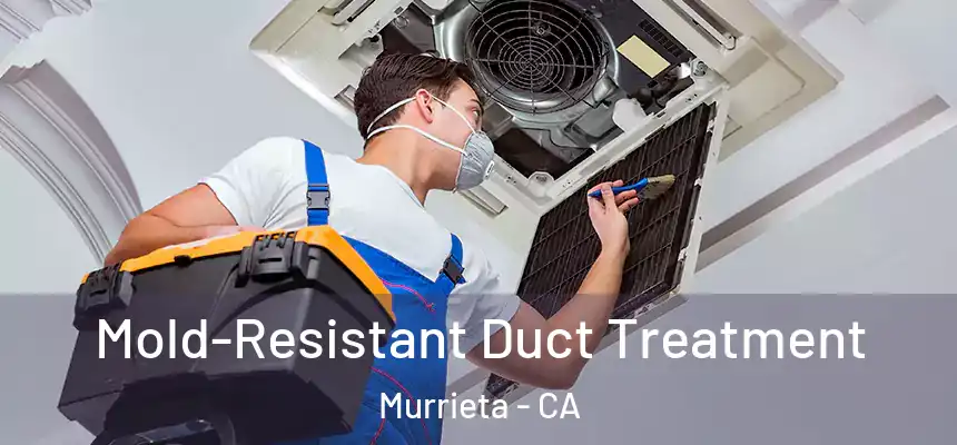  Mold-Resistant Duct Treatment Murrieta - CA