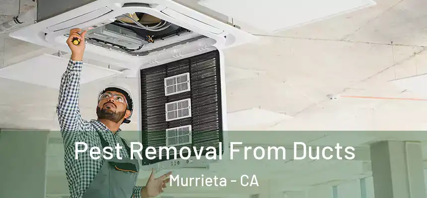 Pest Removal From Ducts Murrieta - CA