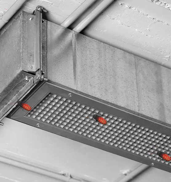 About Air Duct Cockroach Removal in Murrieta, CA