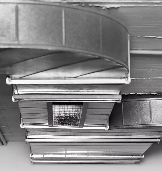 Professional Air Duct Pest Removal in Murrieta, CA