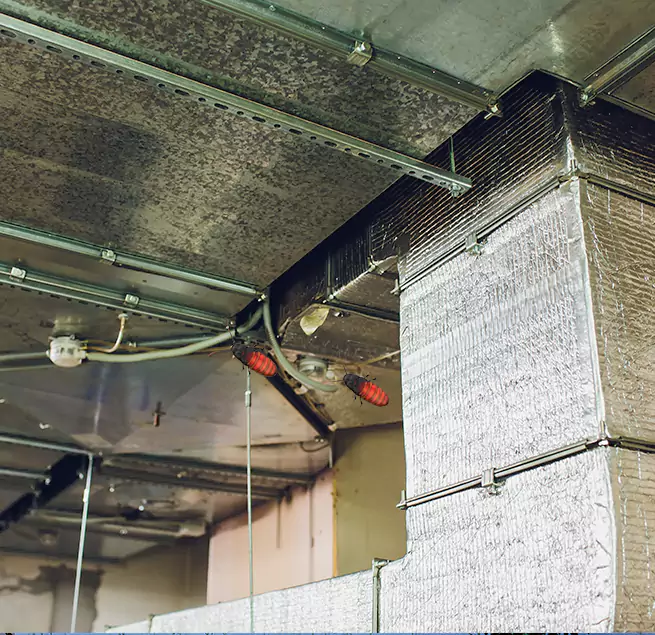 Why Homeowners & Businesses Trust Us in Murrieta, CA?