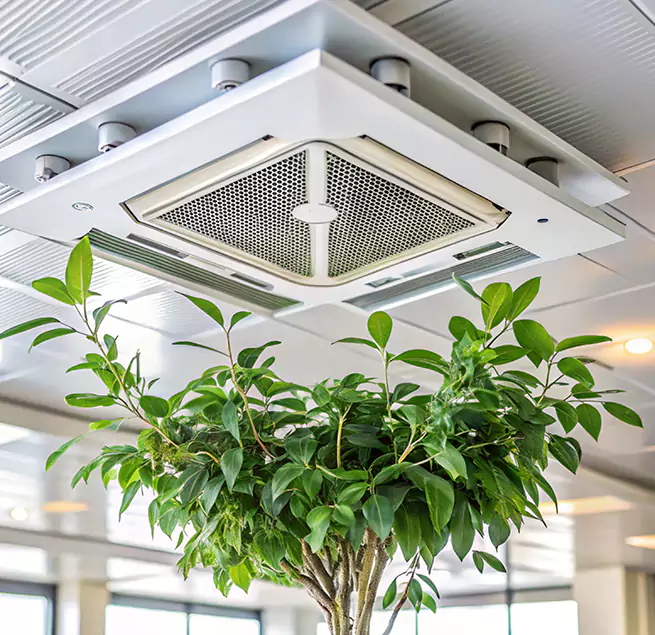 Why Homeowners & Businesses Trust Us in Murrieta, CA?