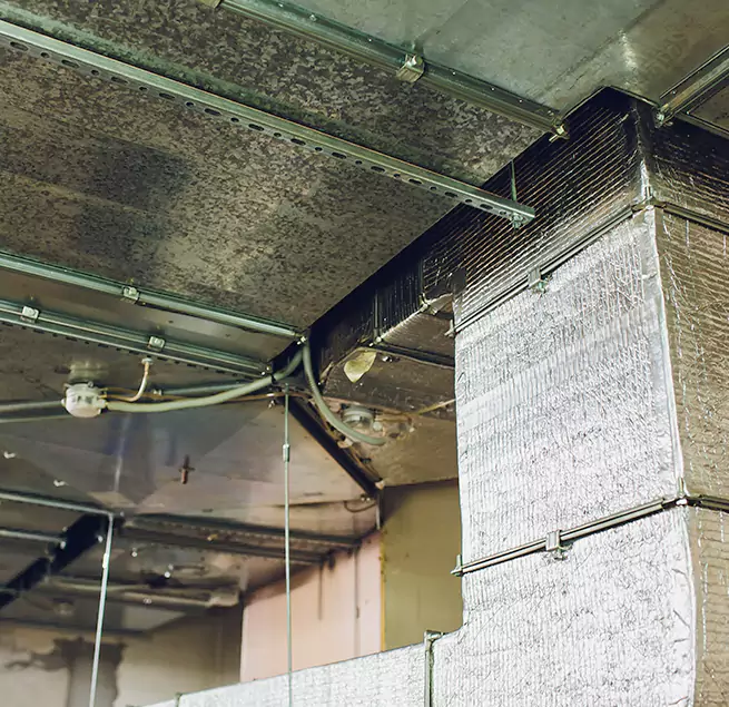 Why Homeowners & Businesses Trust Us in Murrieta, CA?